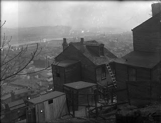 South Side Slopes chicken run, 1918, Pittsburgh