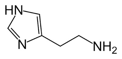 Histamin - hemijska supstanca Panvet