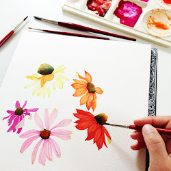 watercolor painting strawberry giant often block coneflowers