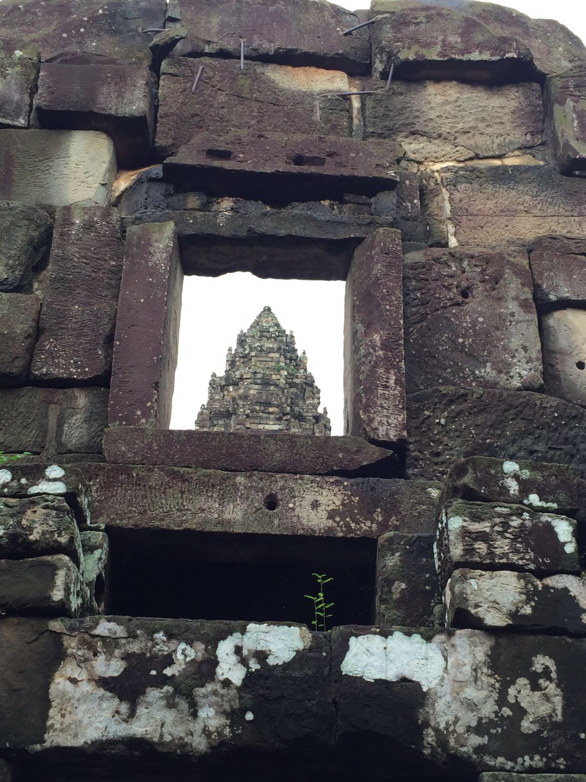 Half A Year Down Under October 2016