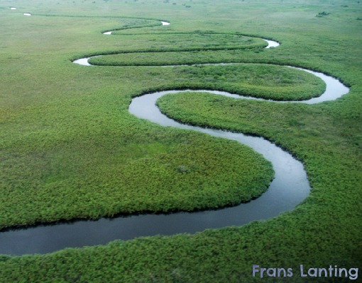 Okavango Delta do Botswana