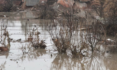 В резултат на падналите обилни валежи три села в община Златарица - Росно, Дедина и Сливовица, са залети от придошлите води на река Бебровска