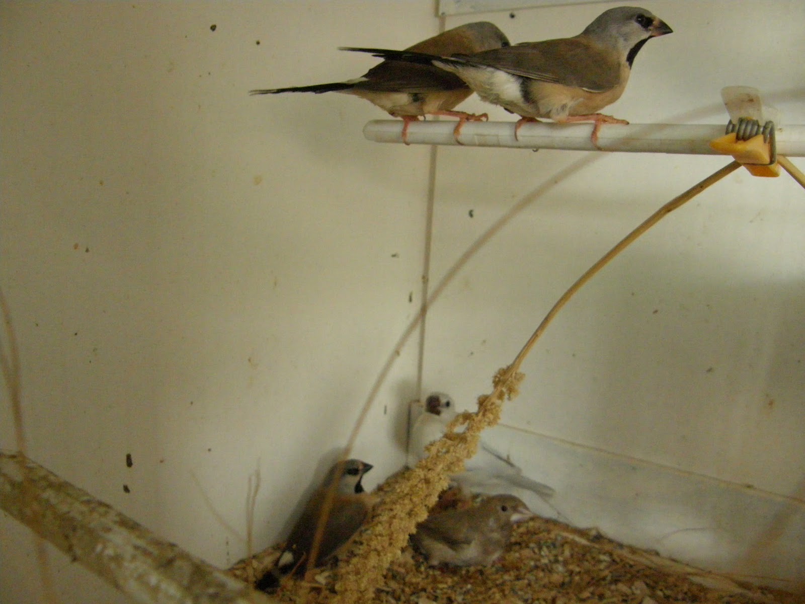 B03-01 - Tout vas bien