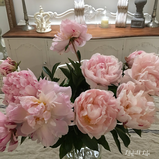 peonies Lilyfield Life