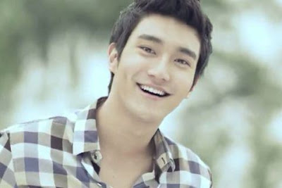SPY-Girls™: Biodata dan Fakta Siwon Super Junior