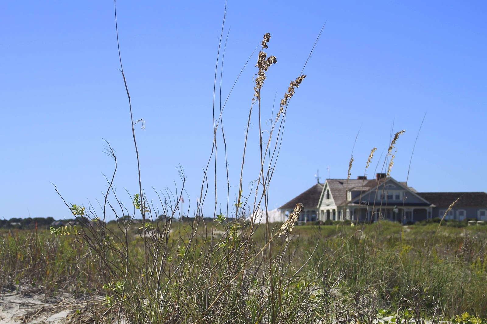 borrowed heaven Lowcountry Eats Ryder Cup Bar