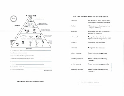 Dr. Gayden's Seventh Grade Science Class