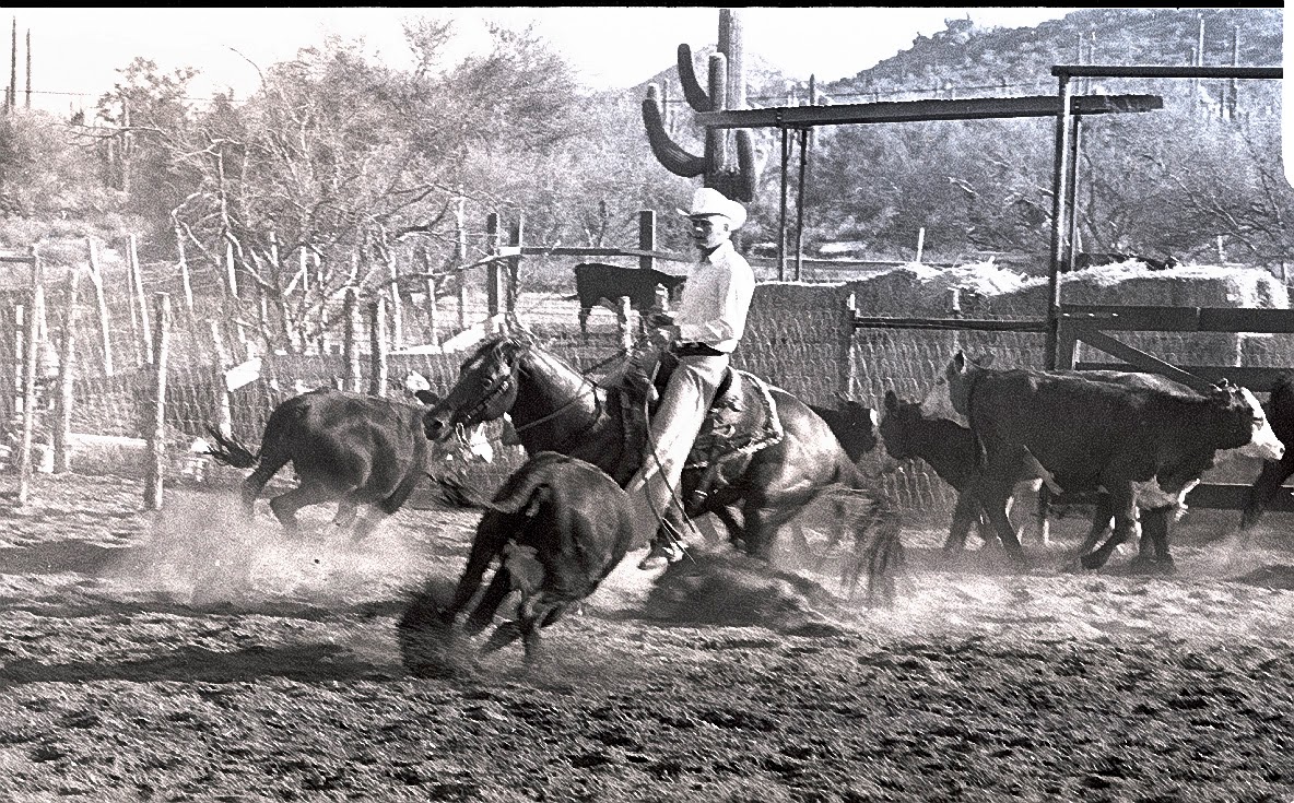 The Old Cowboy and Photography Cutting Horses I Have Known