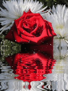 Live Wallpaper 3d Rose Flower Image Num 37