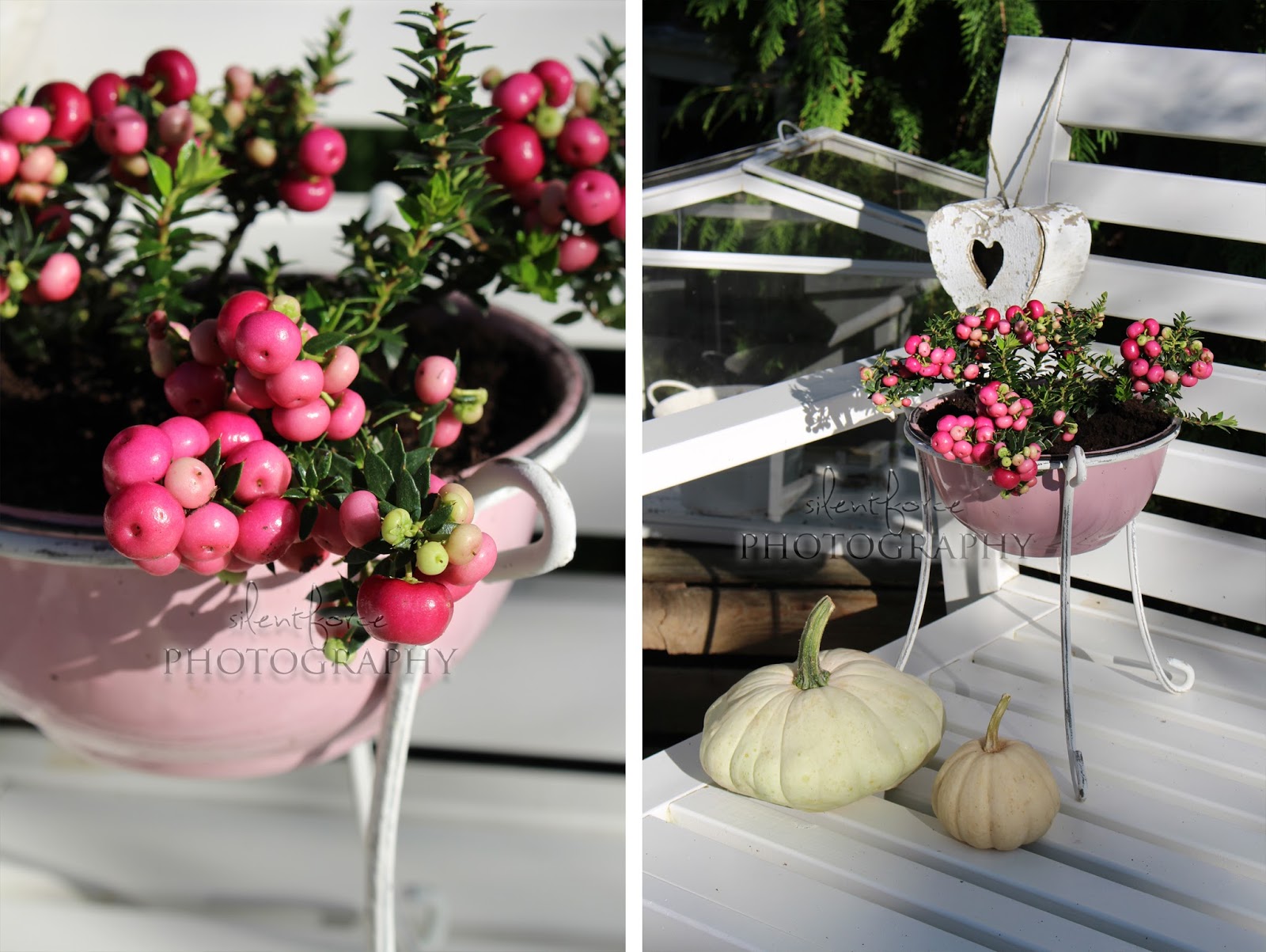 Die Herbstdeko im Garten geht weiter… / silentforce garden