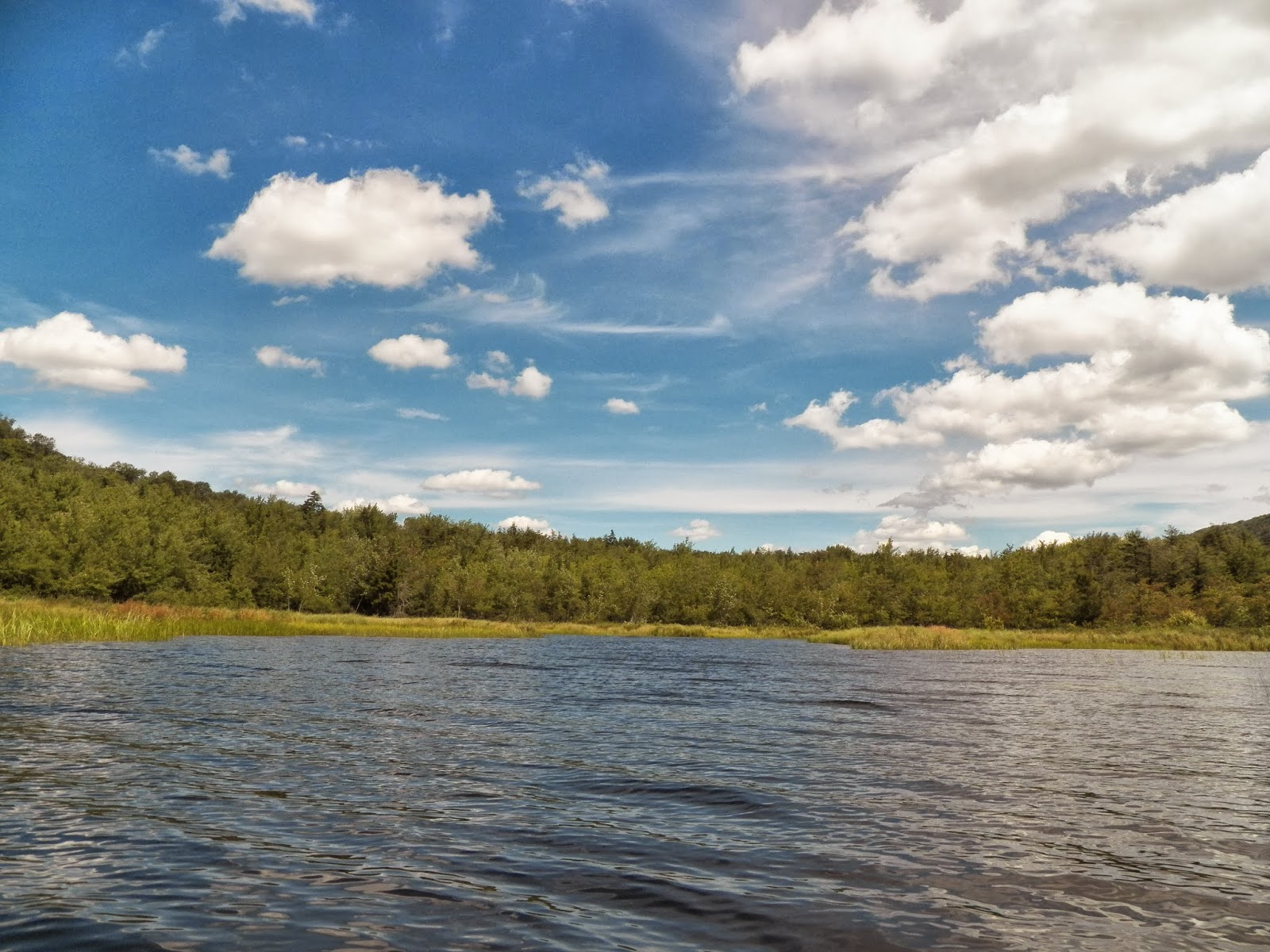 Quiet Kayaking in New York State West, Canada and Lily Lakes, Part 3