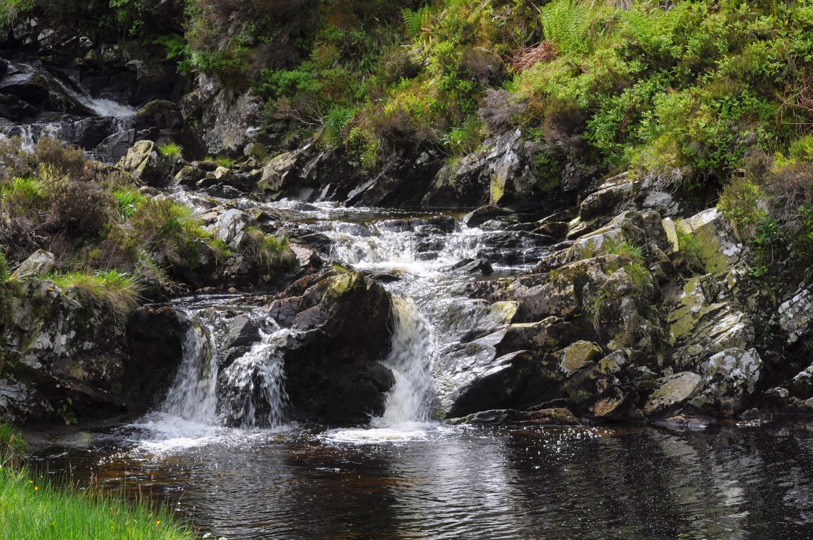 Desmondo's Ramblings Cornish Hill Galloway Forest Park