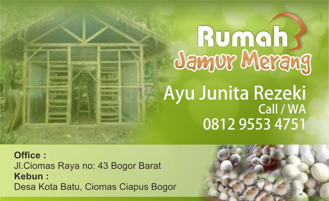 Jamur Merang