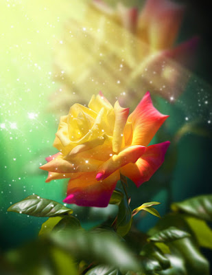 La rosa más hermosa del mundo by Svetlana Sewell
