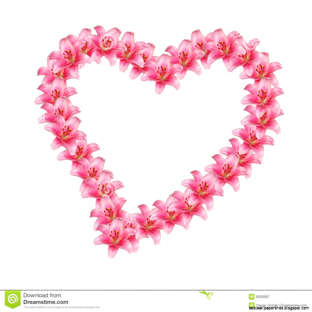 Flower Heart Royalty Free Stock Photography   Image 8006997