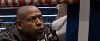 southpaw forest whitaker