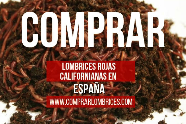 Aquí Puedes Comprar Lombrices Rojas Californianas en España para todas las Provincias