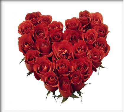  Gambar  Bunga  Mawar  Merah dengan Bentuk Love Gambar  Hidup
