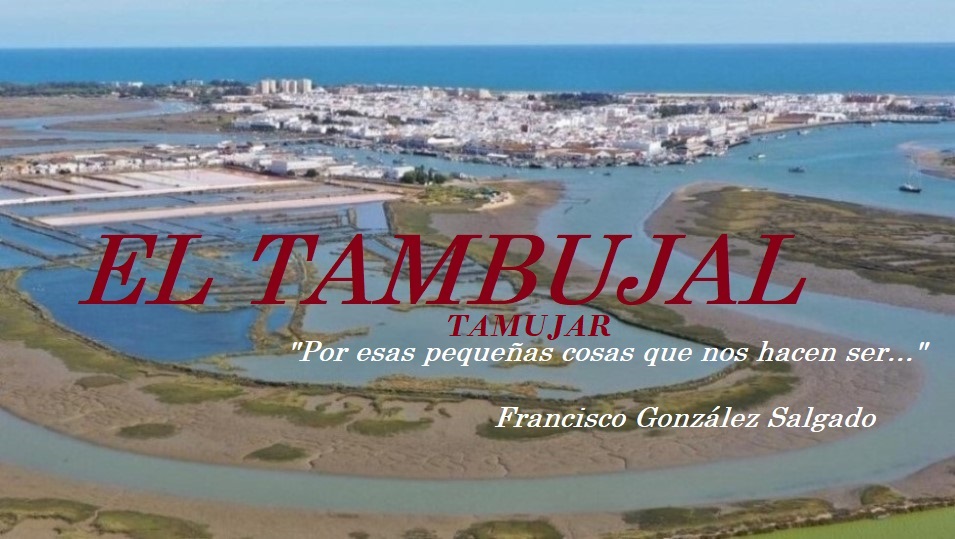 EL TAMBUJAL 
