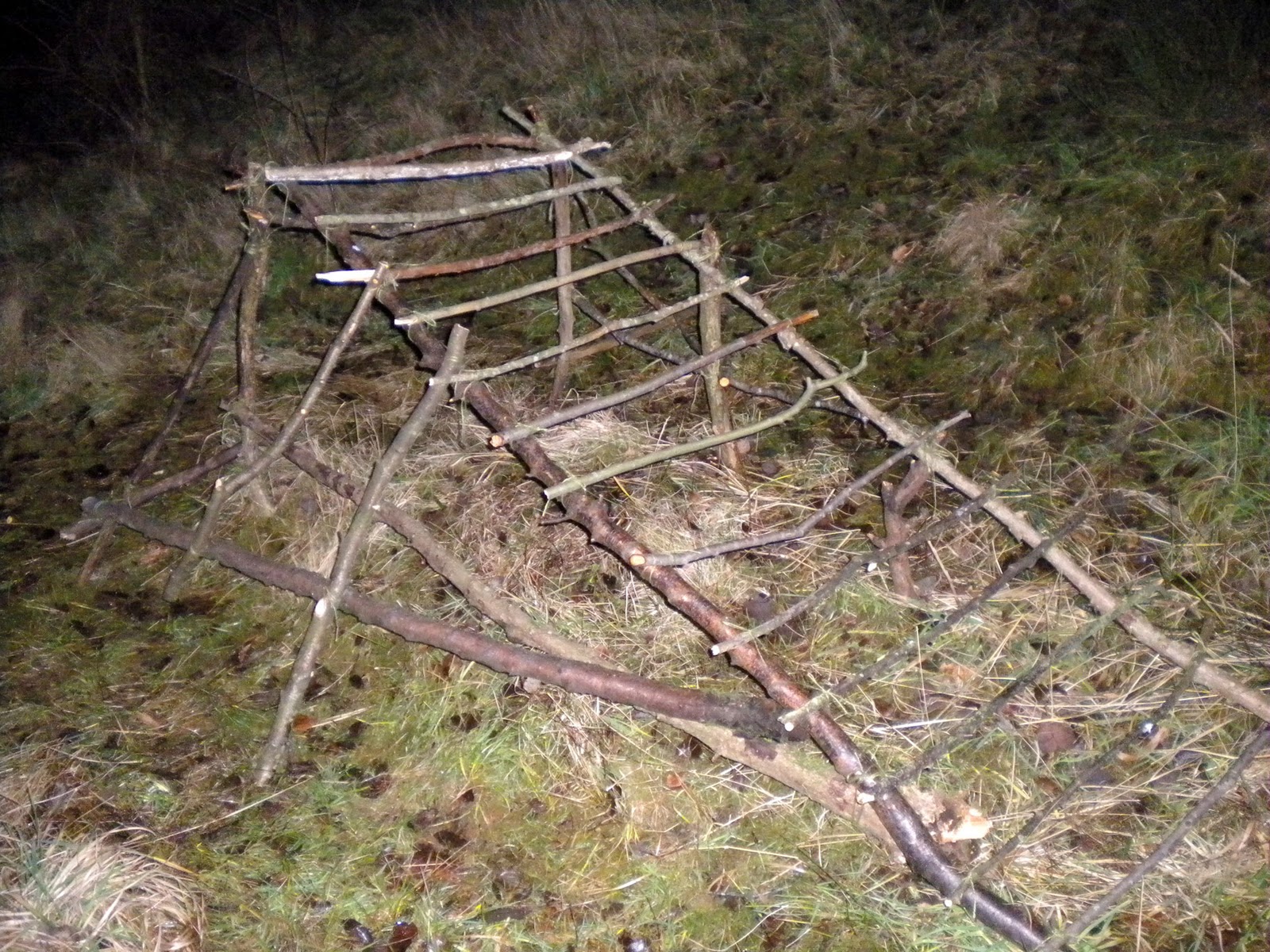 100 Wild Huts: Wild Hut 1