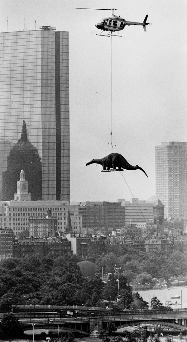 dinosaurio helicoptero. Boston