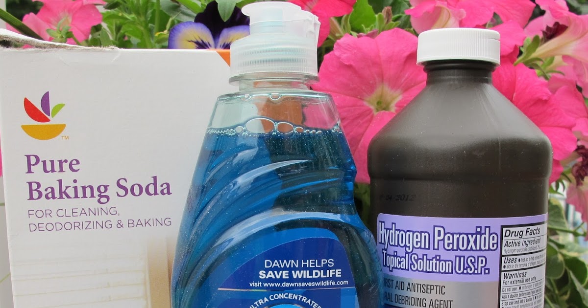 The Chicken Chick® DeSkunking Solution Shampoo & Rinse for Skunk Victims