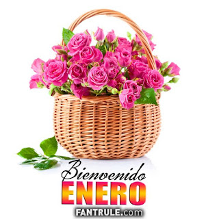 imagenes bienvenido enero frases flores