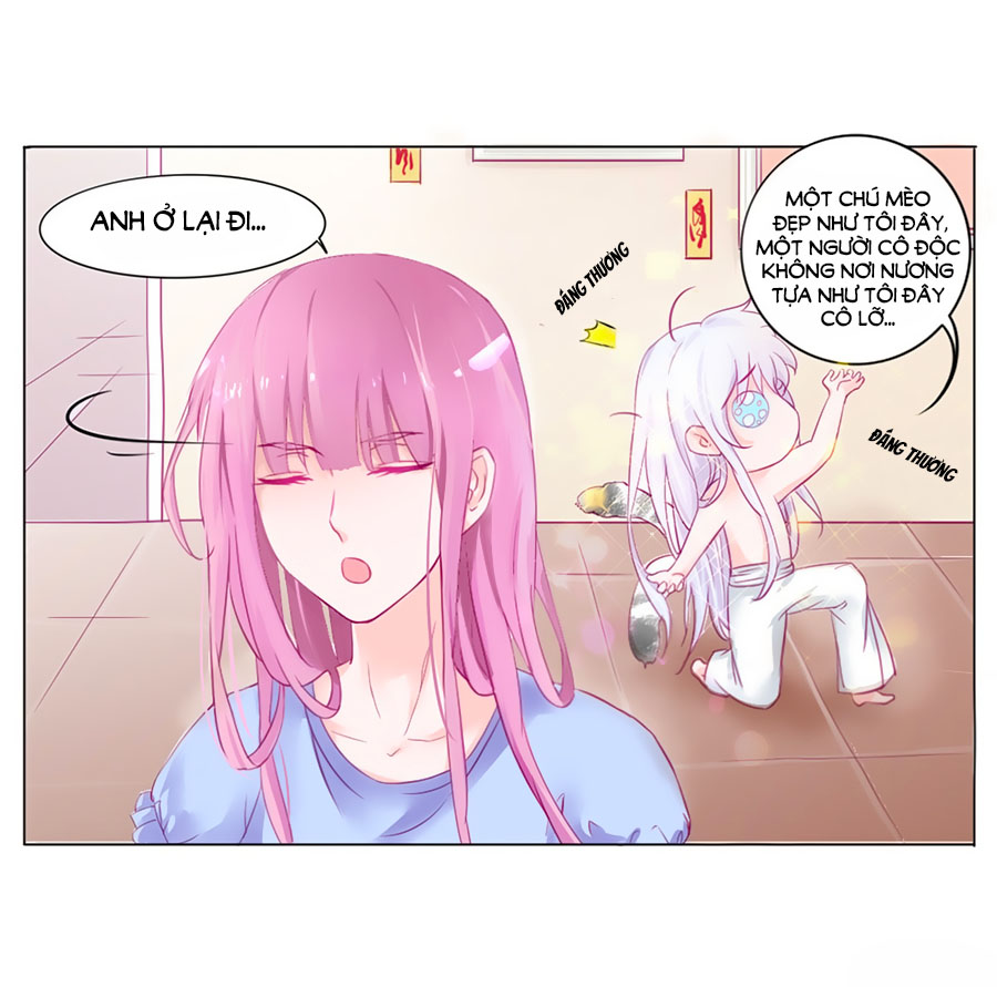 HELLO Miêu Tiên Sinh Chap 2 - Next Chap 3