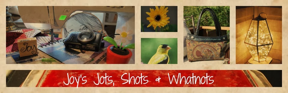 Joy's Jots, Shots & Whatnots
