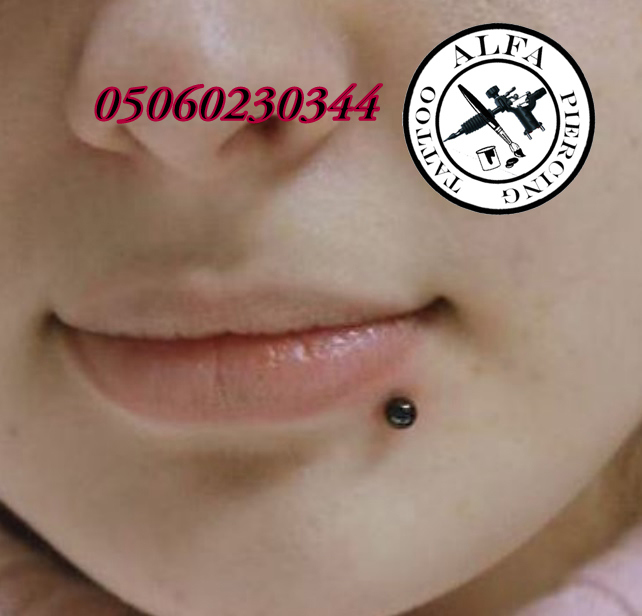 Alfa Tattoo Piercing Studyo Bakirkoy Piercing Yapan Yerler