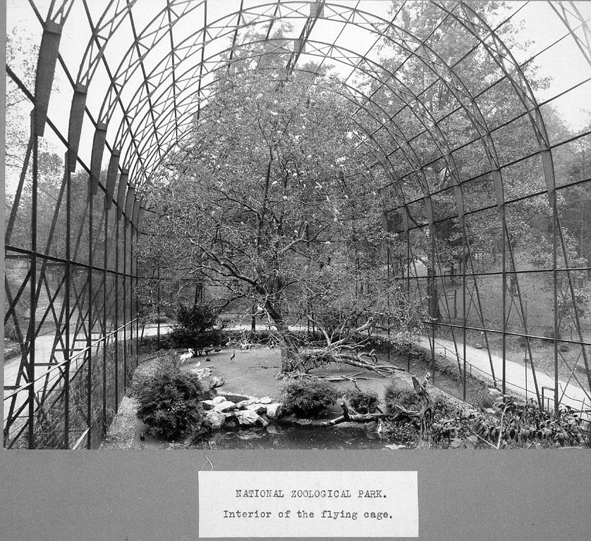 The Circus "NO SPIN ZONE": Vintage National Zoo--Washington, D. C.