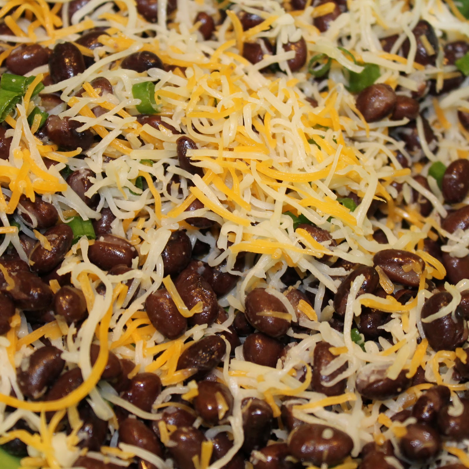 Black Bean and Cheese Enchiladas with Ranchero Sauce I Can Cook That