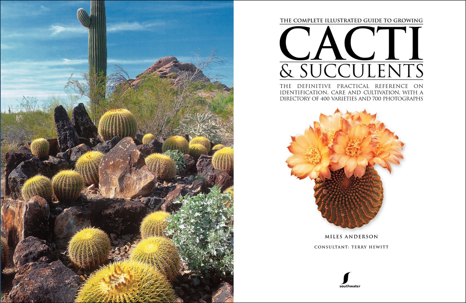 Succulents and More Book review The Complete Illustrated Guide to