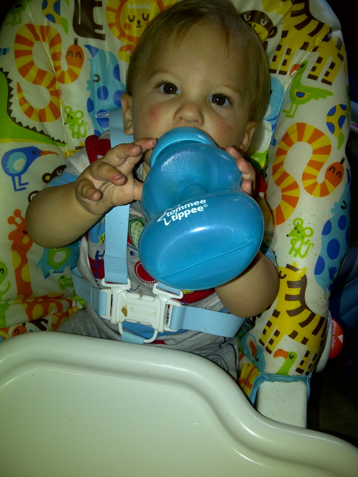 Mummy Of 3 Diaries Fisher Price Easy Clean High Chair