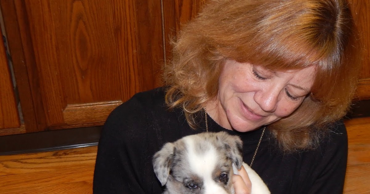 Big Ears Kennel That Hits The Spot