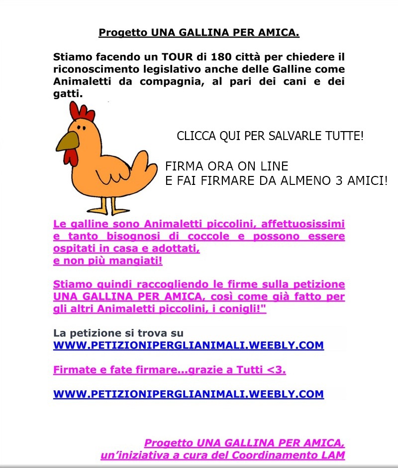 Progetto UNA GALLINA PER AMICA