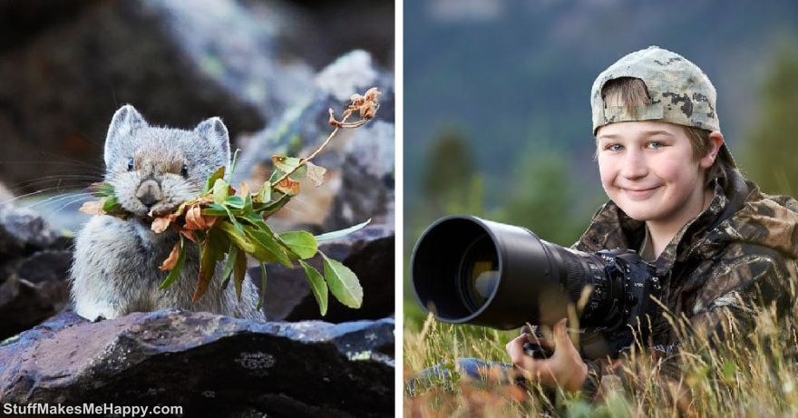 This Boy Has Already Won Twice the Competition Of Wildlife Photography And His Work Does Not Say That the Photographer Is a Child