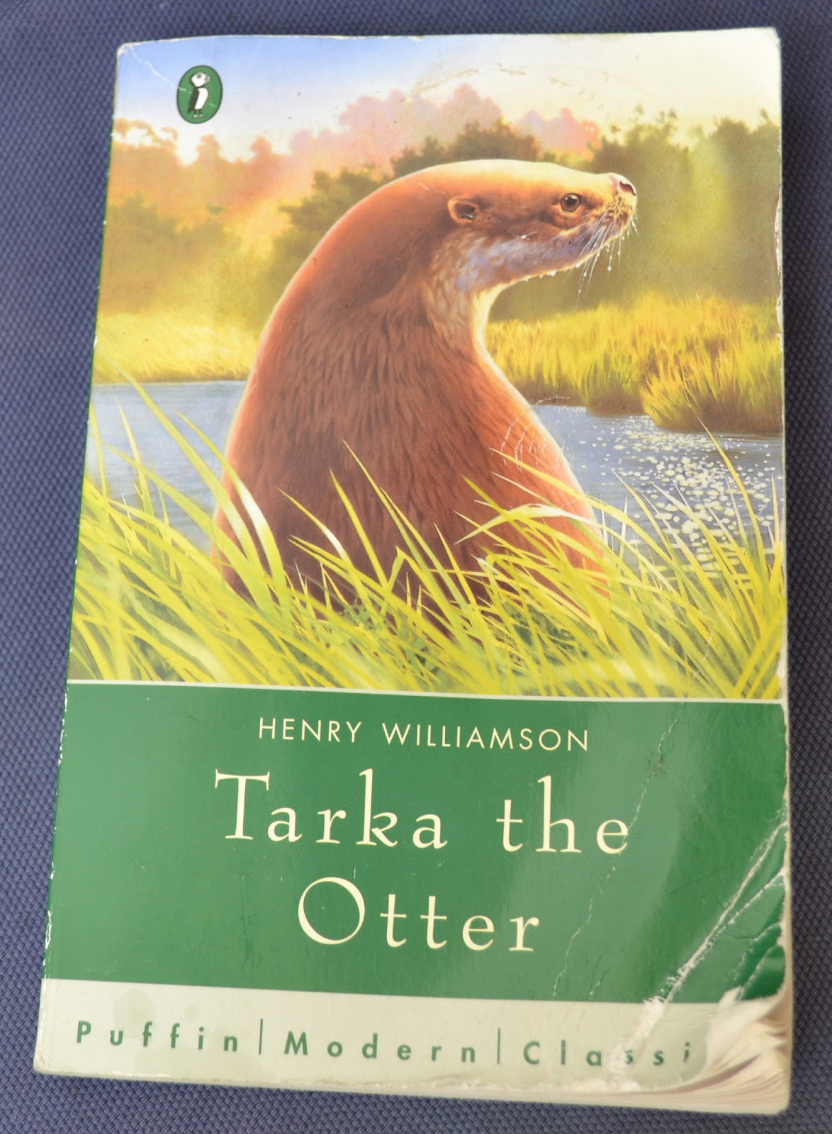 Ginx Craft : Tarka The Otter