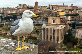 ROMA, LA CIUDAD ETERNA. Colaboración de Expediciones por el Mundo