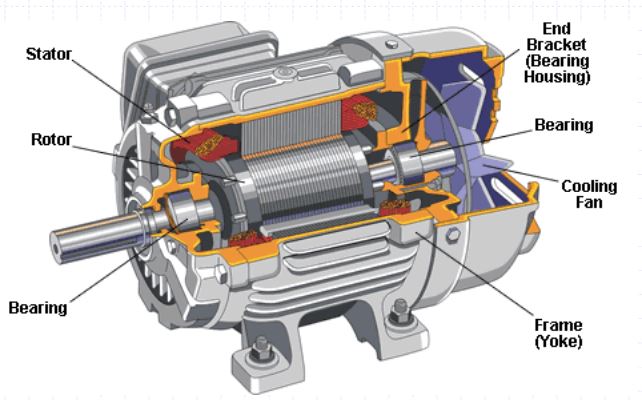 Encommium ala frágil tipos de motores electricos jaula de ardilla