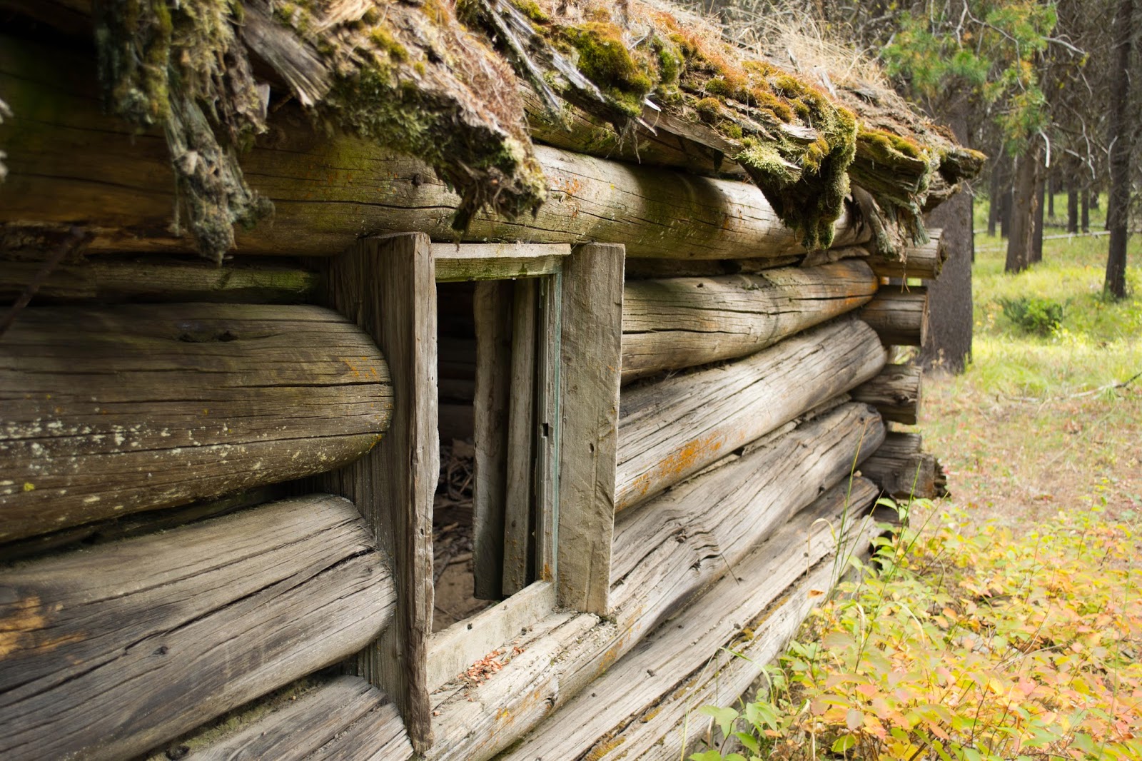 What Does A Log Cabin Look Like