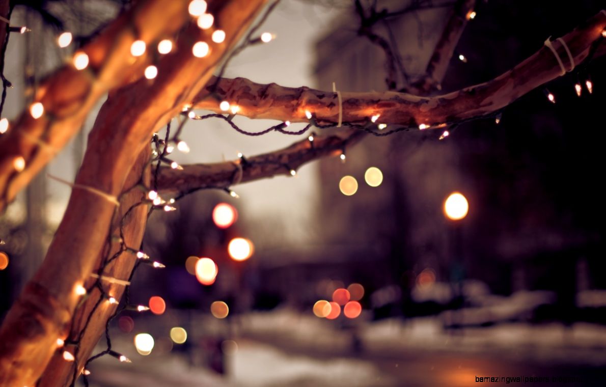 Winter Lights Tumblr Amazing Wallpapers