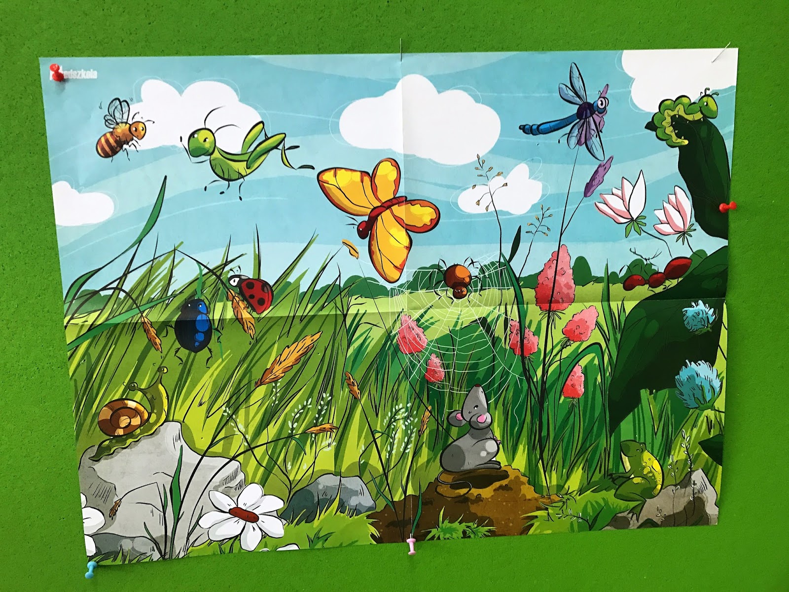 Kolorowe motyle na zielonej łące''- zajęcia otwarte dla rodziców ...