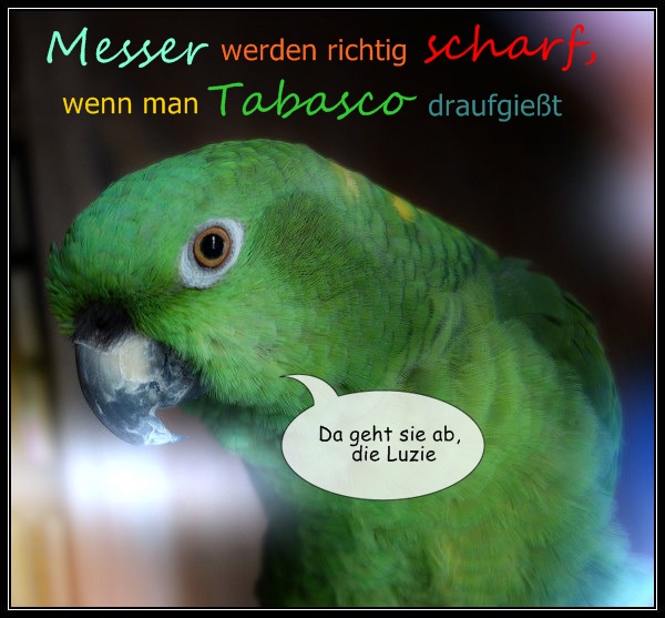 Download Samstag spruch bild Free Samstag Spruch Bild