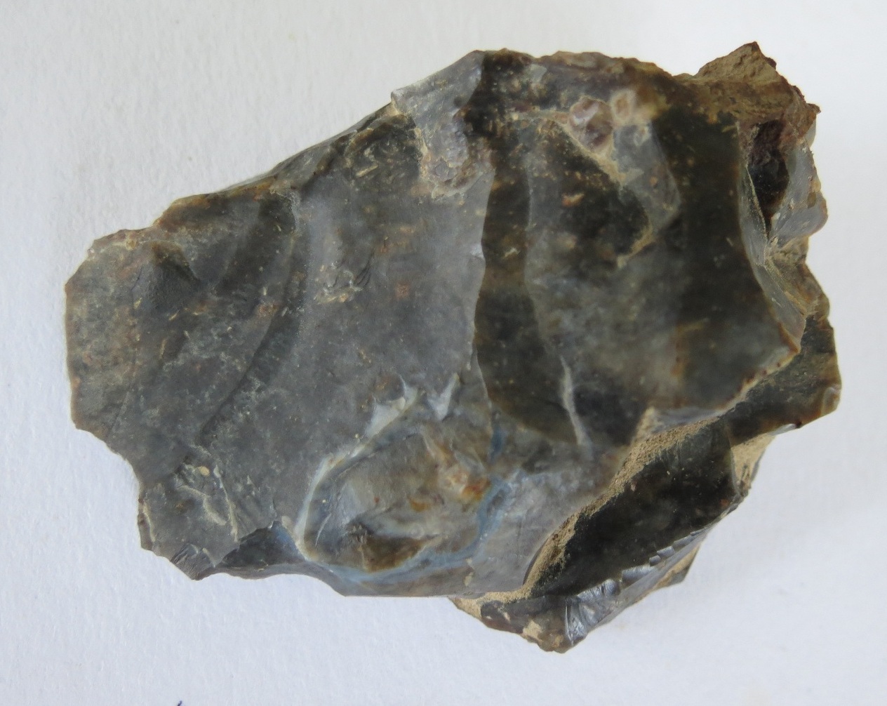 Archaeology of Portable Rock Art: A hafted flint feline head with Archaeology of Portable Rock Art: A hafted flint feline head with