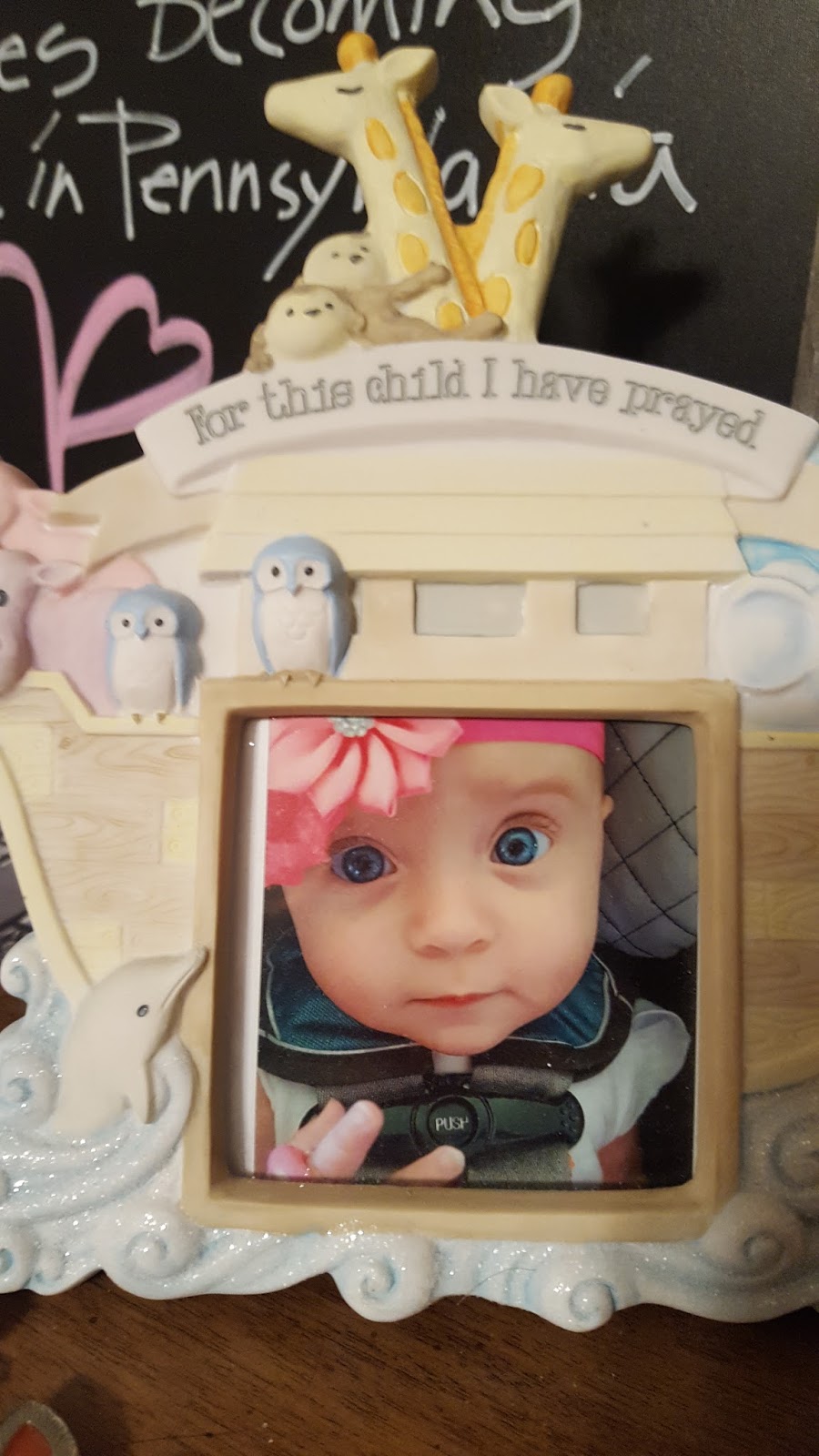 Meg's Life Snapshot in Time