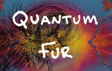 Studio 303/ Quantum Fur