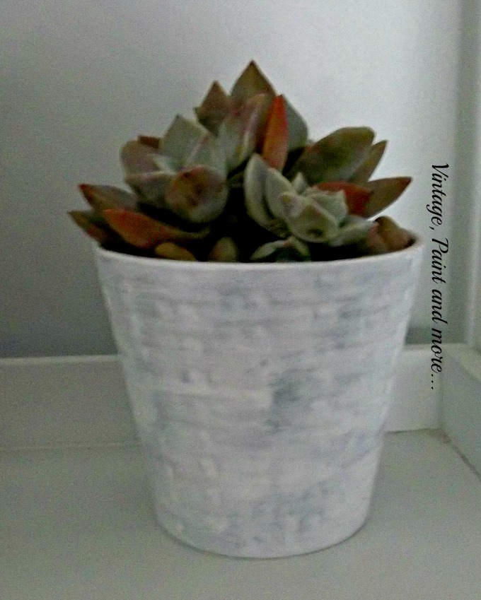 Succulents in Upcycled Dollar Store Pots - DIY chalk painted pot, succulent gardening, home decor with succulents, decorating with succulents