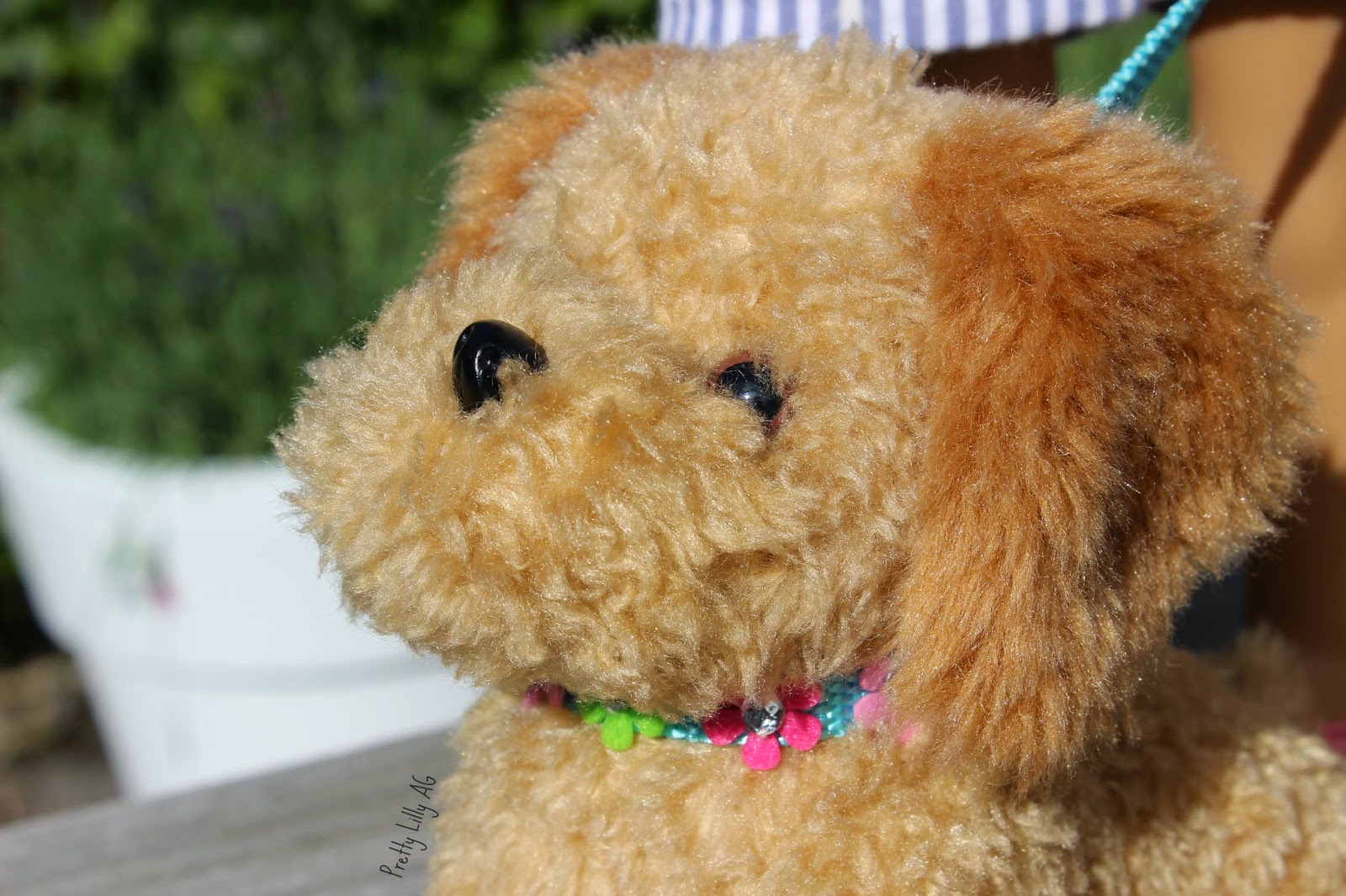 Pretty Lilly an American Girl Leashes and collars for dogs