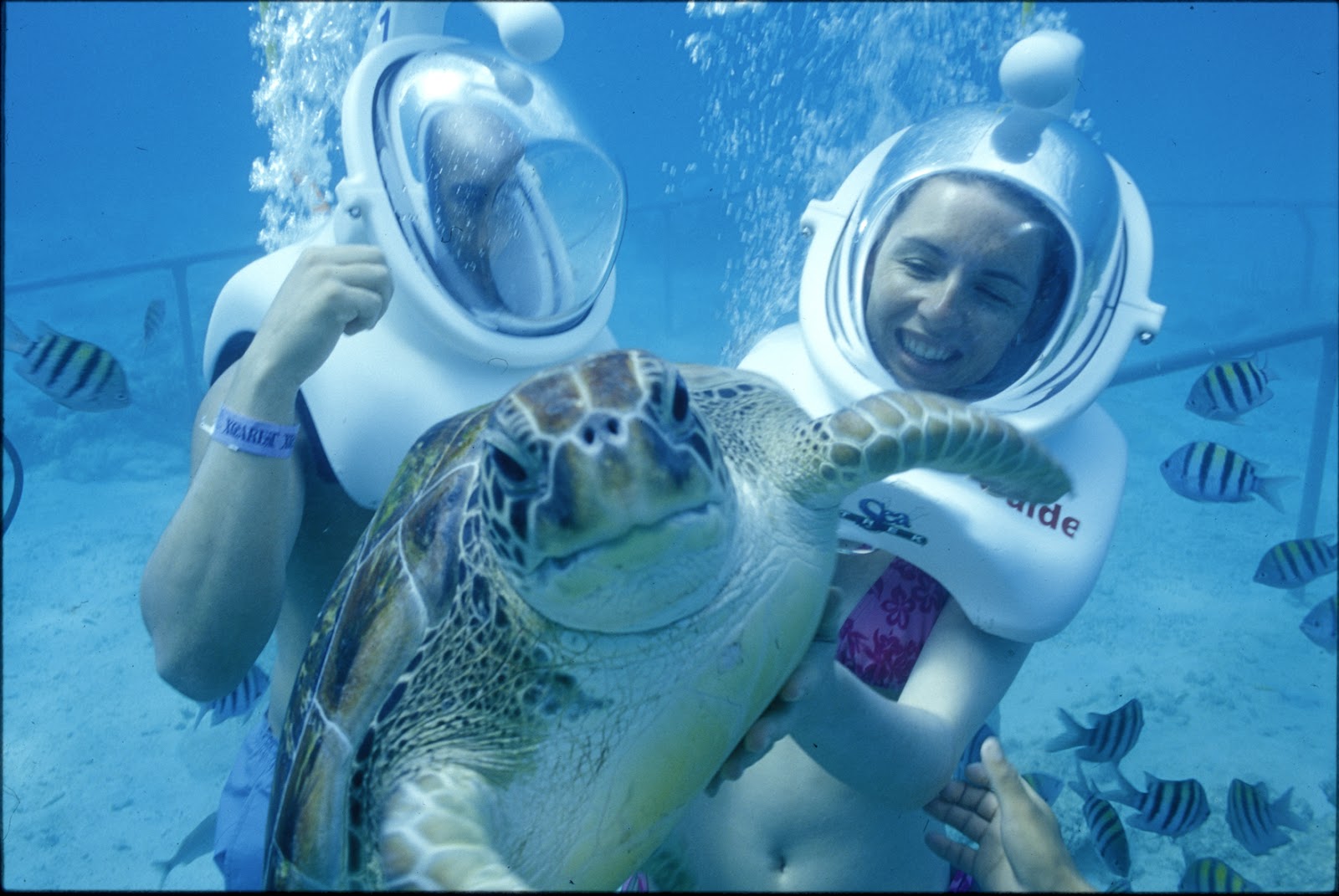 No1 Amazing Things Xcaret, Mexico